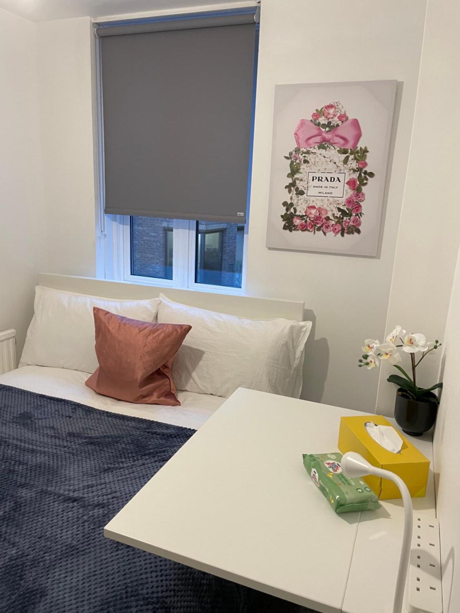 Lovely Double Rooms In Euston & Square In Central ลอนดอน ภายนอก รูปภาพ